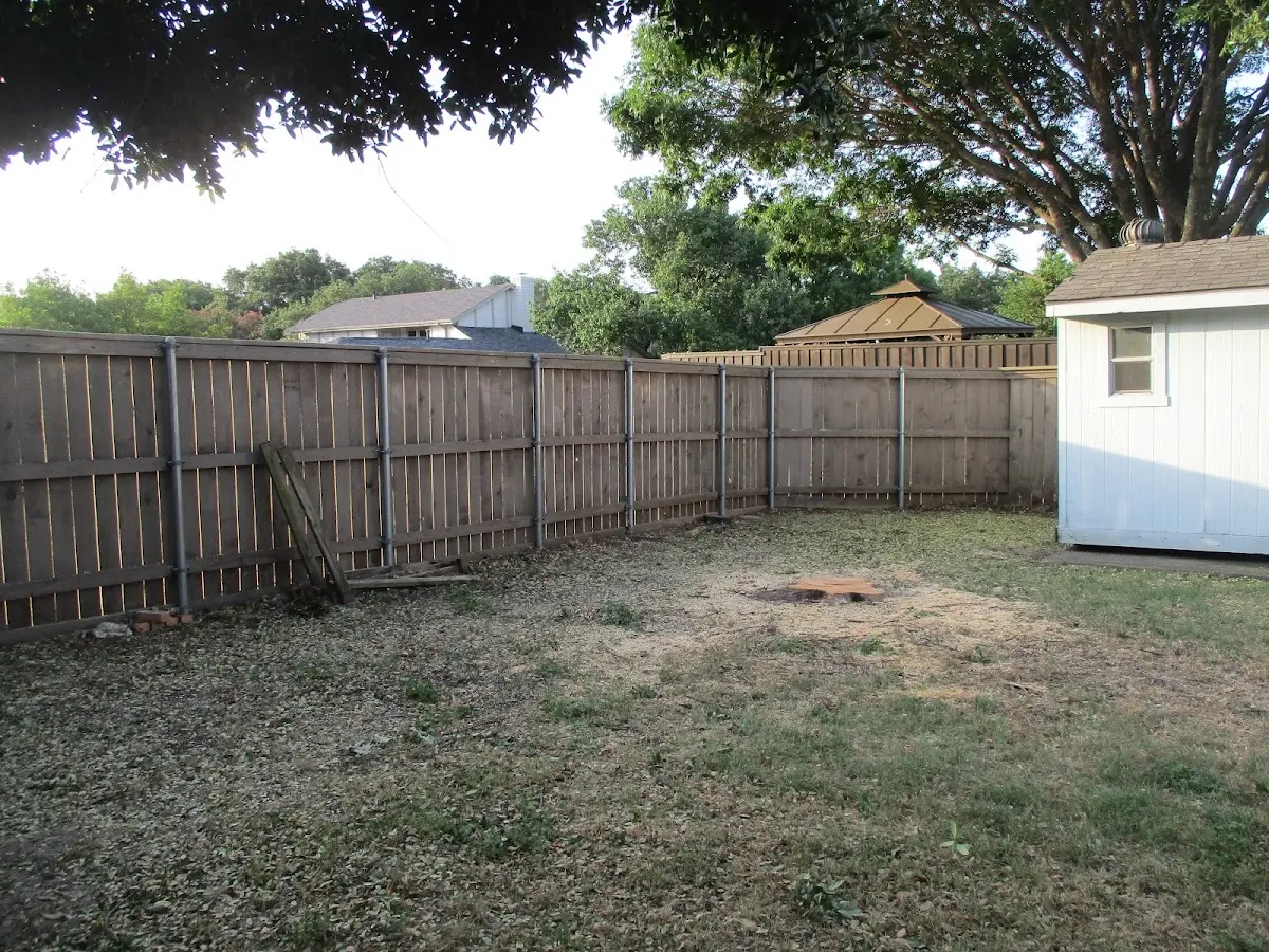 Cleared yard after professional tree removal in Silver Creek